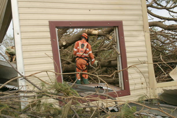 How Our Tree Care Process Works  in  Lewisburg, OH